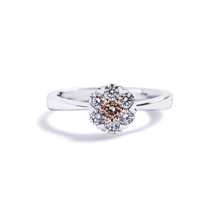 Roset ring i 18 kt. hvidguld prydet med 0,08 ct. champagnefarvet C5/VS brillant omkranset af 6 Top Wesselton/VVS-VS brillanter, i alt 0,42 ct.
